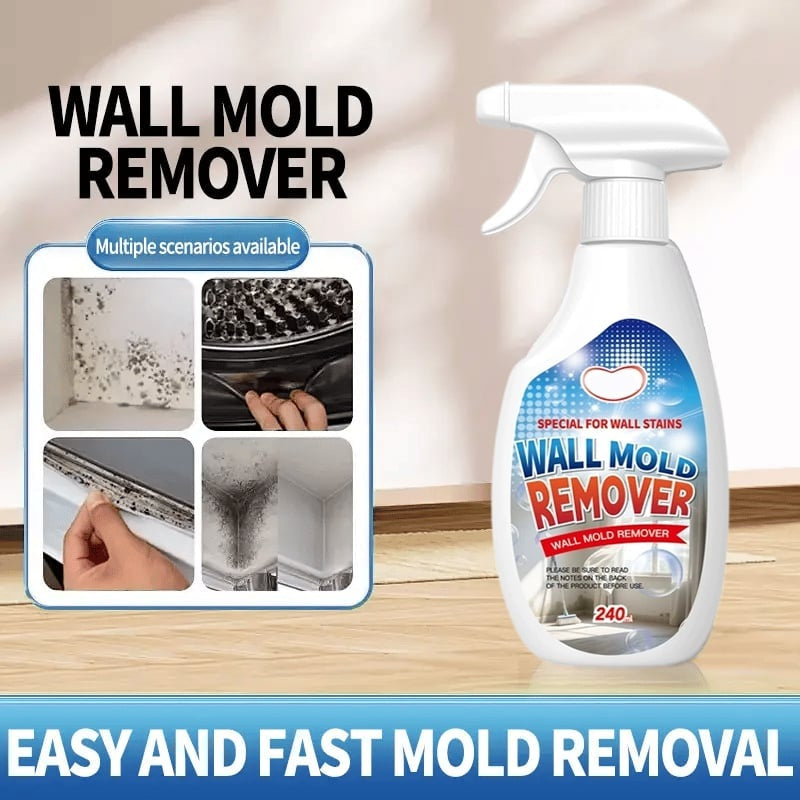 Fast Acting Anti-Mold Wall Cleaner Spray
