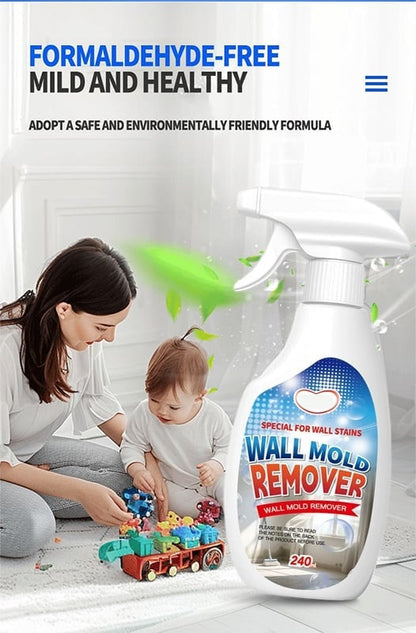 Fast Acting Anti-Mold Wall Cleaner Spray